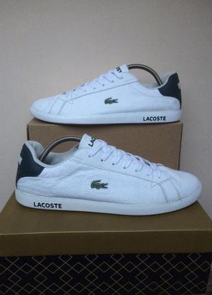 Кожаные кеды кроссовки lacoste1 фото