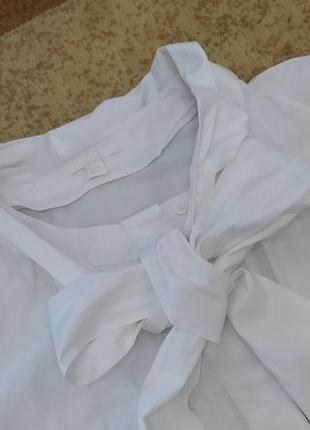 Белая белая рубашка блуза блузка рубашка с, м, л размер4 фото