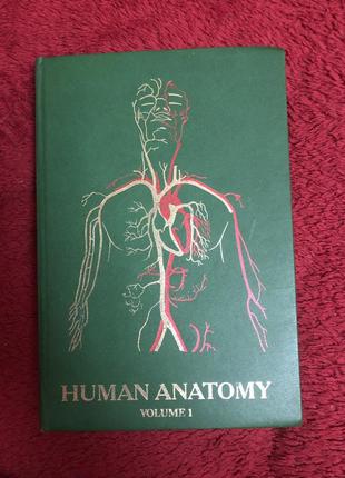 Human anatomy english английской анатомия медицина