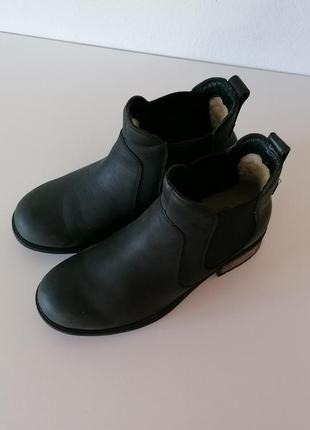 Ботинки кожа ugg4 фото