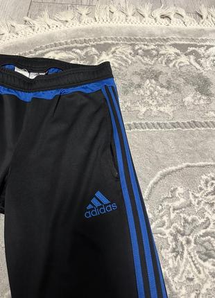 Спортивные штаны adidas4 фото