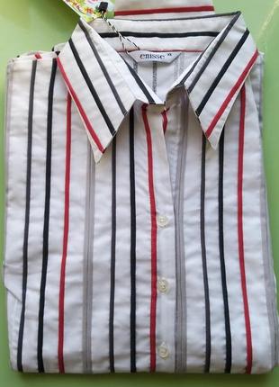 Блуза батник рубашка женская деловой стиль размер l-xl / 46-48 / 12-14