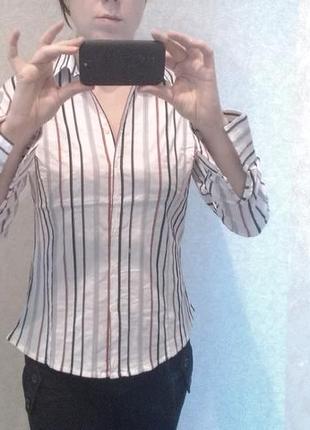 Хлопковая блуза батник рубашка женская деловой стиль размер l-xl / 46-48 / 12-141 фото