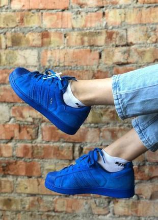 Шикарные женские кроссовки adidas superstar в синем цвете (36-40)4 фото