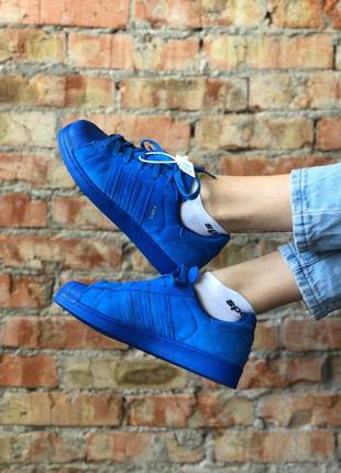 Шикарні жіночі кросівки adidas superstar в синьому кольорі (36-40)