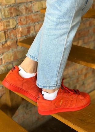 Кроссовки adidas superstar в красном цвет (36-40)6 фото
