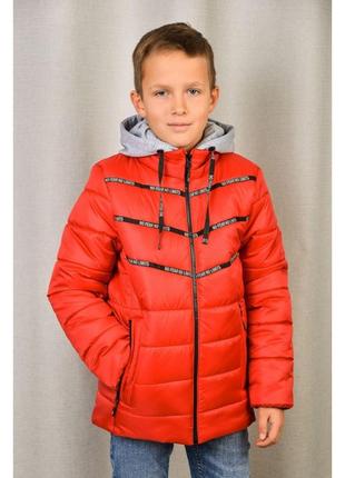 Демисезонная куртка «фил», красная, для мальчика, от 110-116см до 158-164см