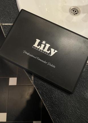 Палітра консилерів для макіяжу (20 цв) lily professional concealer palette