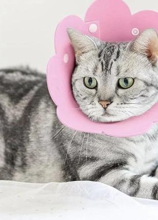Воротник-ошейник "для заживления ран" для собак и кошек pink flower size s2 фото