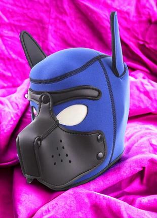 Бдсм маска собаки be my master bondage puppy hood blue