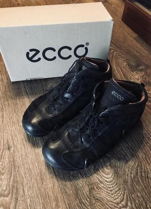 Черевики ecco