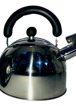 Чайник со свистком, из нержавеющей стали для электрических и газовых плит rainberg rb-626 3л2 фото