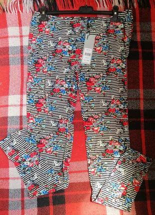 Лосини німецького бренду