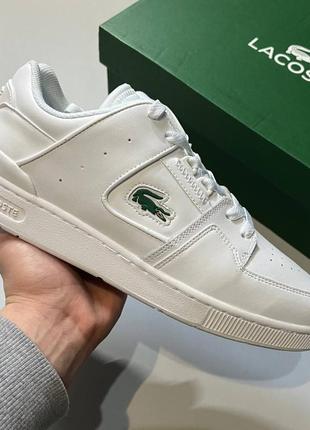 Оригинал! lacoste court cage 42/43/47