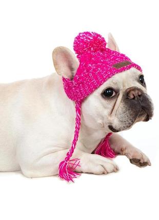 Шапка для собак і кішок "beauty" pink size s9 фото