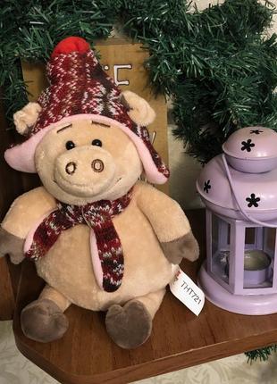 Порося в капелюсі, 30 см м'яка іграшка same toy tht721