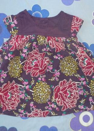 Платье микровельвет можно до 9 мес