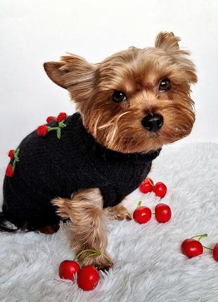 Вовняний светр з вишивкою для собак, котів ручної роботи2 фото