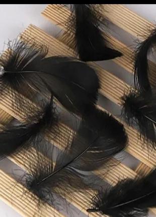 Пір'я декоративне . пір"я декоративне кольорове. пір'я для кульок баблс різнобарв'я. 
ціна за набір 10 шт. чорне пір'я