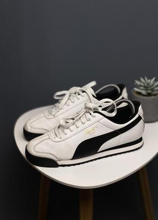 Roma puma cheap
