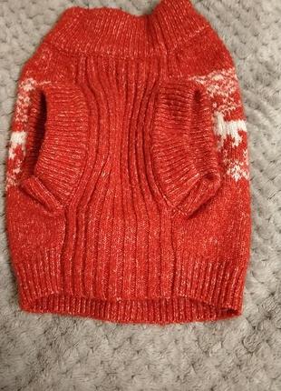 Кофтинка для домашнього улюбленця