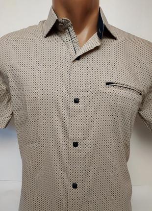 Стильные рубашки большого размера отличного качества в ассортименте.