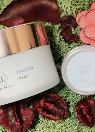 Holy land azulene cream.холі ленд живильний крем для обличчя. розлив від 20 g