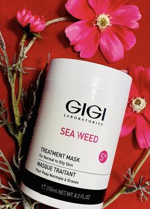 Gigi sea weed treatment mask. джі джі лікувальна маска з морськими мінералами. розлив від 20g