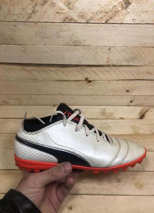 Стоноги puma , копочки