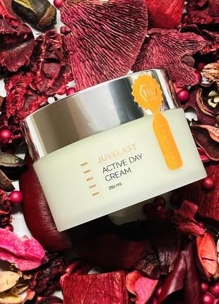 Holy land cosmetics juvelast active day cream.холі ленд активний денний для сухого крему.розлив від 20g1 фото