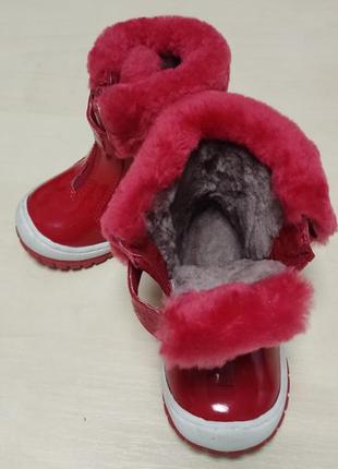 Зимние ботинки фламинго внутри - натур мех на любой подъем размеры в наличии  21- 22-242 фото
