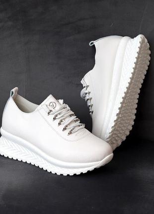Білі шкіряні кросівки sinc, белые кожаные кроссовки sinc, кожаные кросовки 36р-23.5 см код 167465 фото