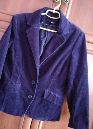 Базовий вельветовий брендовий піджак2 фото