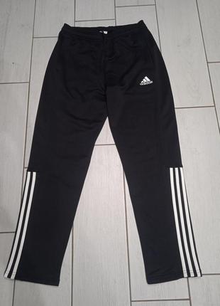 Спортивні штани adidas performance1 фото