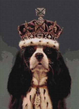 Алмазная мозаика король чарльз lucia heffernan, 40*50см, brushme, dbs1226