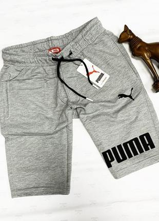 Шорты puma summer gray