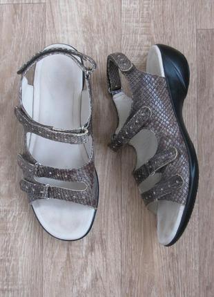 Кожаные босоножки кожа питона для полной ноги clarks k англия