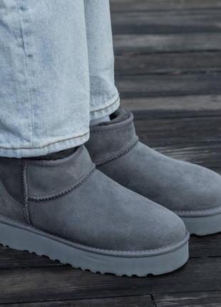 Уггі угги угг ugg ultra mini  mid platform grey suede5 фото