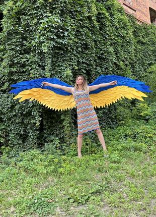 Продам крылья цвета флага украины.8 фото