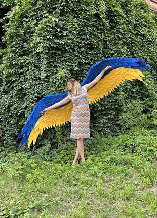 Продам крылья цвета флага украины.10 фото