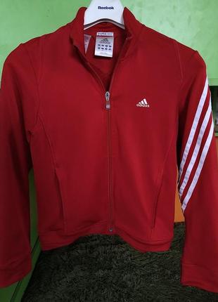 Кофта/джемпер на молнии adidas{оригинал}