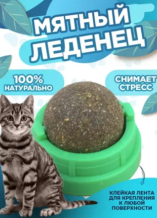 🐱🐱🐱 м'ятна кулька для котів на клейовій основі1 фото