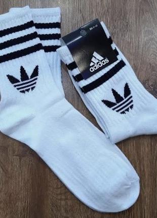 Высокие носки adidas &lt;unk&gt; тренировочные носки