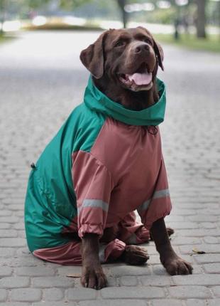 Дождевик для больших собак2 фото