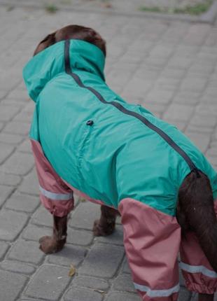 Дождевик для больших собак4 фото