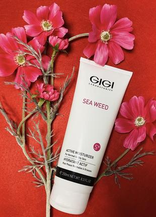 Gigi sea weed active moisturizer cream. джи джи увлажняющий крем для жирной/комби кожи. разлив от 20g