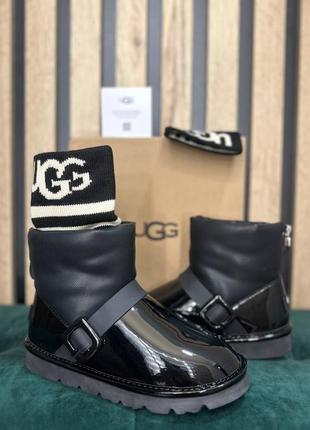 Чоботи ugg1 фото