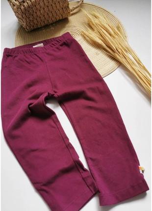 Штанці лосіни