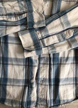 Ladybird cotton, р.128 5