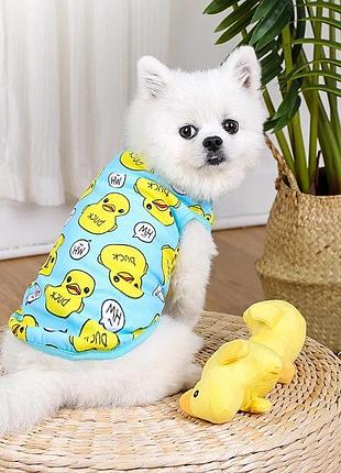 Футболка для собак и котов "зверята уточки" размер s 25*30 см, голубая